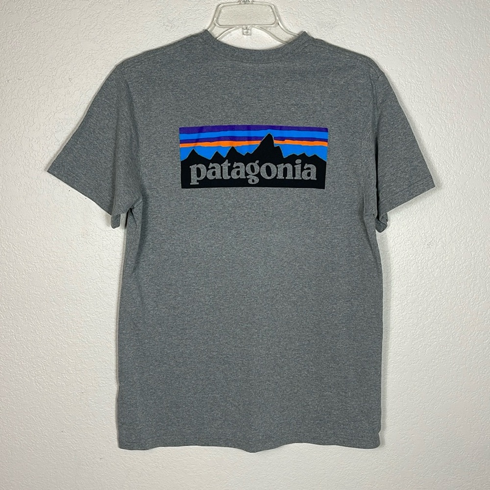 Patagonia Gray Short Sleeve Tee with Logo